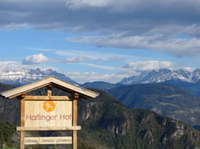 Haflingerhof